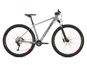 CONWAY MS 929 light grey/red