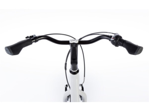 LEADER FOX DOMESTA bílá mat