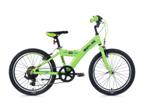 LEADER FOX BEAR Boys 20" zelená