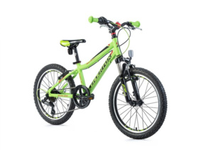 LEADER FOX SANTY 20" zelená