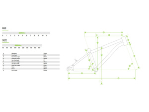 EARLY RIDER Belter 16