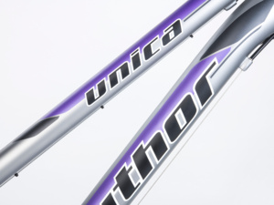 Author Unica stříbrná matná/fialová 26