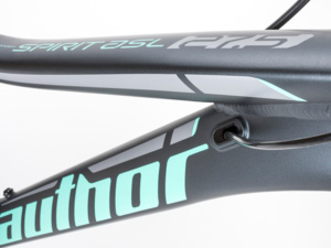 Author Spirit šedá matná/zelená 27.5