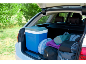 Chladící box CAMPINGAZ Icetime Plus Extreme 25L