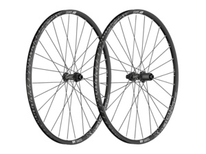 DT SWISS Zapletená kola X 1900 Spline 29