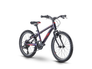 RAYMON TwoRay 1.0 Purple Metallic/Red