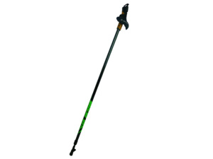 Trekové hole HAVEN Roller Skater NEO - černá/zelená