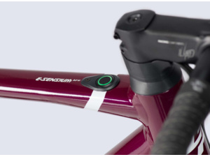 LAPIERRE e-Sensium 3.2 W M2506