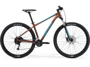 MERIDA Big.Nine 100-2X Bronze (Blue)