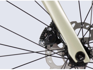 LAPIERRE Pulsium 5.0 Disc 10