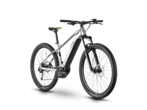 Raymon HardRay E 5.0 29" pistaccio/black/lime glanz