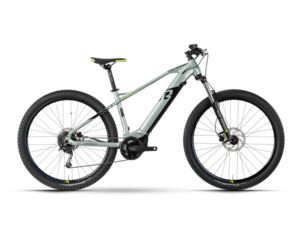 Raymon HardRay E 5.0 29" pistaccio/black/lime glanz