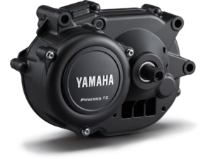 Motor Yamaha PW-TE