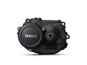 Motor Yamaha PW-TE