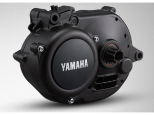 Motor Yamaha PW-X