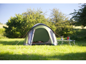 Stan COLEMAN Darwin 3+