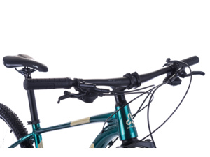 CTM Rambler 3.0 29 Dark GreenSand 2