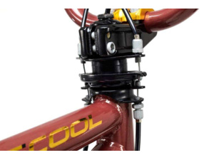 S'COOL XtriX 20 Brown/Gold 4