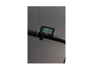 PELLS Thorr Base Red 7