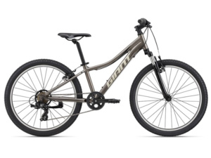 GIANT XtC Jr 24 Metal