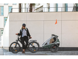 Vozík QERIDOO KidGoo2 Ivy Green