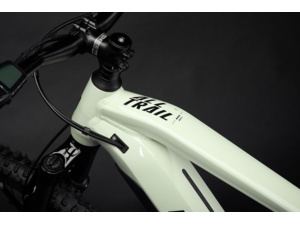 HAIBIKE AllTrail 4 29 Gloss Honeydew/Black