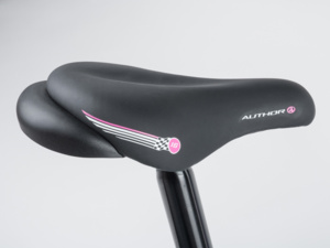 AUTHOR Record 16 Blue/Pink