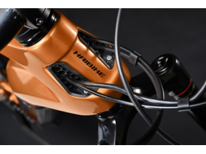 HAIBIKE AllMtn CF 6 Orange/Black