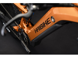 HAIBIKE AllMtn CF 6 Orange/Black