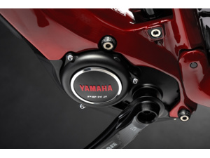 HAIBIKE AllMtn CF 12 Red/Black