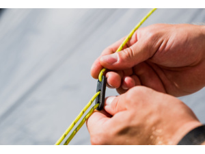 Stan COLEMAN Darwin 3+