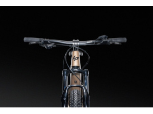 LAPIERRE Overvolt HT 5.5 Mid Earth Grey