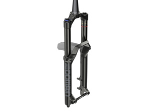 Vidlice ROCK SHOX Domain RC Crown 29 Boost Black