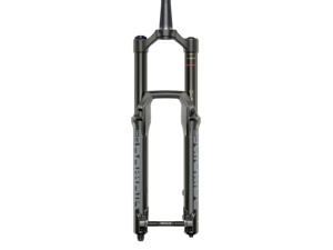 Vidlice ROCK SHOX Domain RC Crown 29 Boost Black