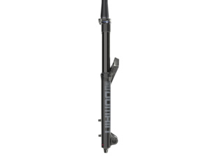 Vidlice ROCK SHOX Domain RC Crown 29 Boost Black