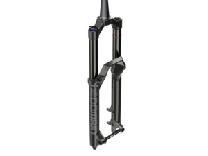 Vidlice ROCK SHOX Domain RC Crown 29 Boost Black
