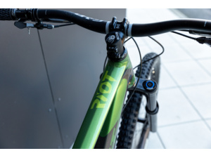 Ghost Riot AM Universal Olive/Stone - L