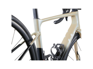 LIV Avail Advanced 1 Shoreline