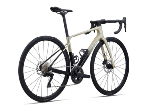 LIV Avail Advanced 1 Shoreline