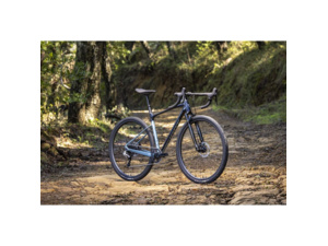 GIANT Revolt X 1 Cold Night - M