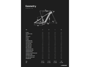 LAPIERRE Overvolt AM 9.8 Anthra Grey