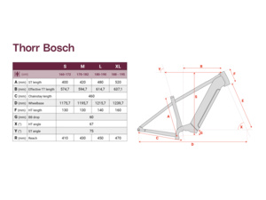 PELLS Thorr Bosch 1 AT