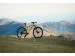 PELLS Razzer 2 Mustard/ash