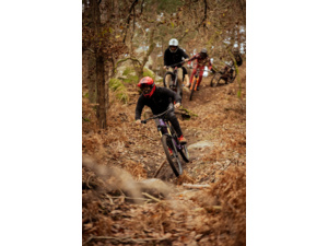 Pedály LOOK Trail Roc