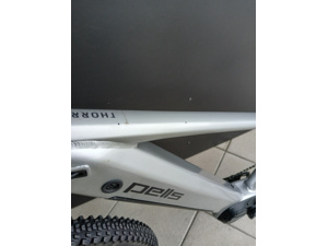 PELLS Thorr 1 ER Silver - M