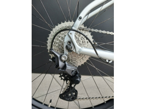 PELLS Thorr 1 ER Silver - M