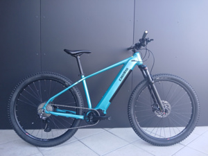 PELLS Thorr 1 W Matt Mint - M