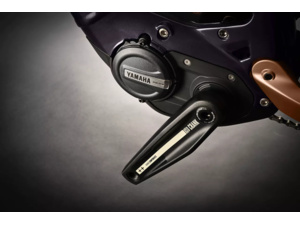 HAIBIKE Adventr SE High Purple/Cognac Glossy