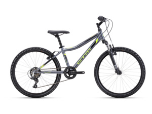 CTM Berry Matte Gray/Neon Green