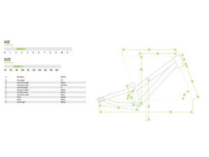 EARLY RIDER Charger 12 Sage Green